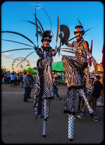 Zebra Print with Feathered Fingers